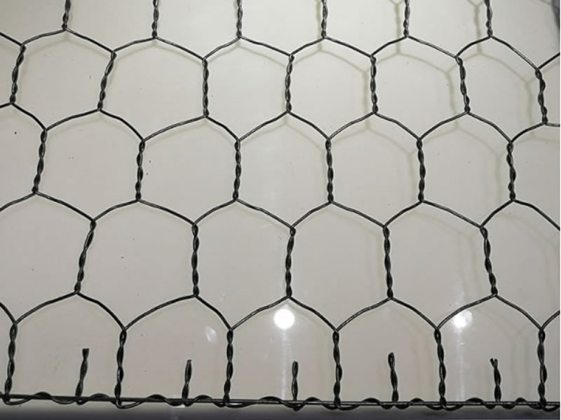 Wire Gabion